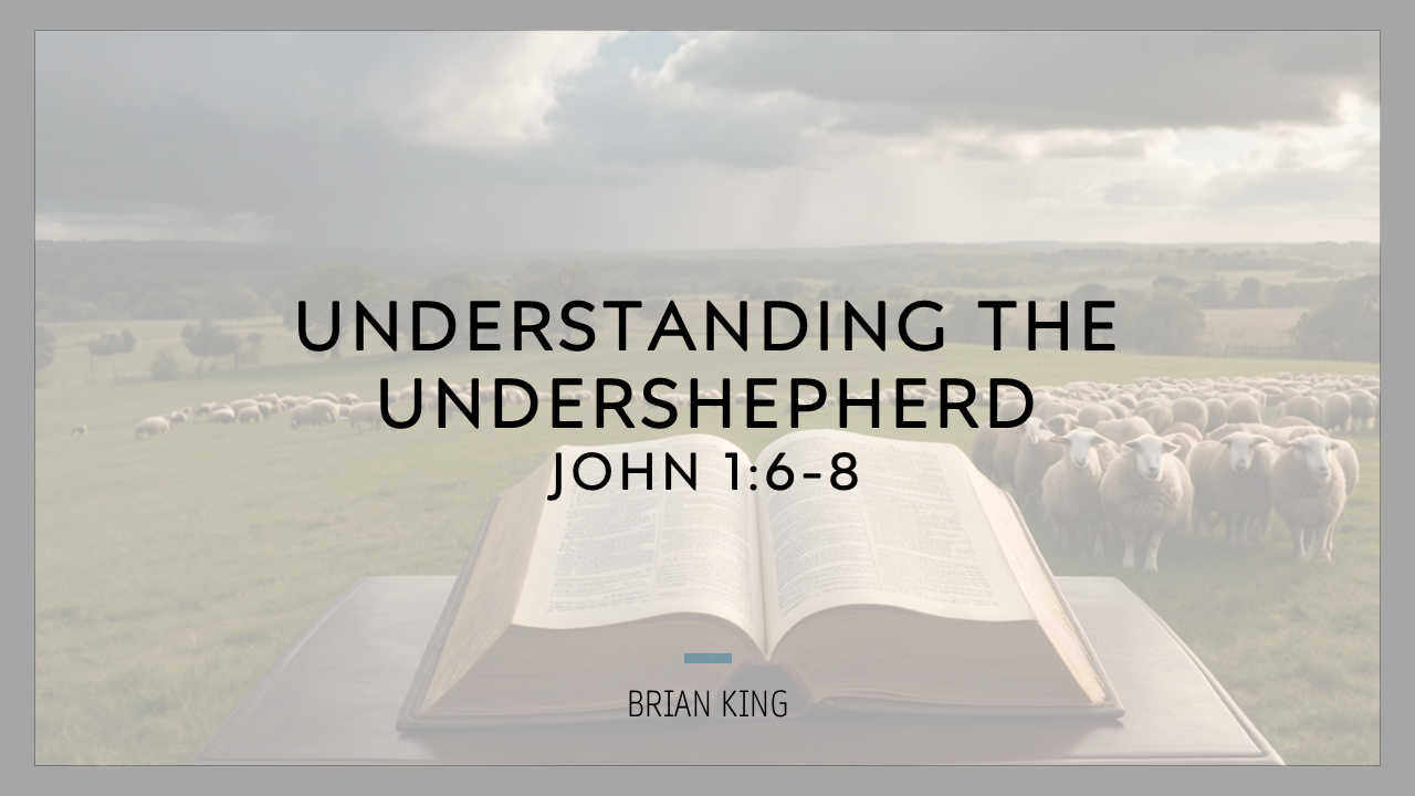 Understanding the Undershepherd – Brian King